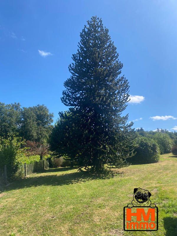 Maison - 175 m² - 6 pièces