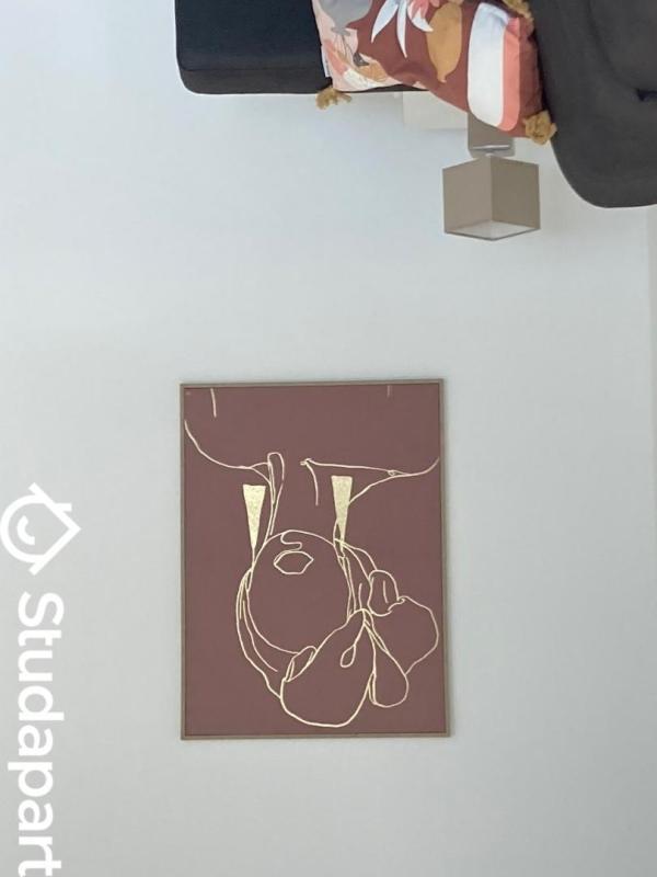 Appartement - 80 m² - 3 pièces