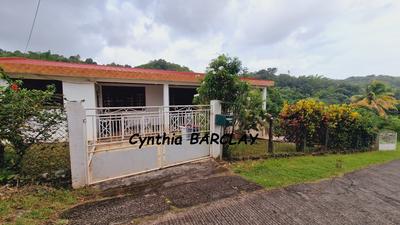 Maison - 300 m² - 8 pièces