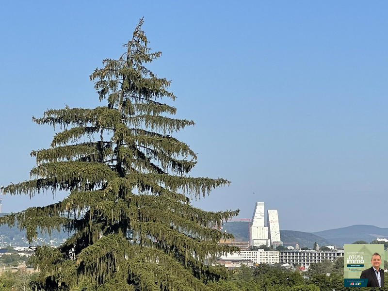 Maison - 240 m² - 5 pièces