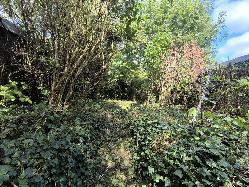 Maison - 300 m² - 10 pièces