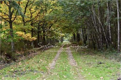 Propriété - 1 060 m² - 16 pièces