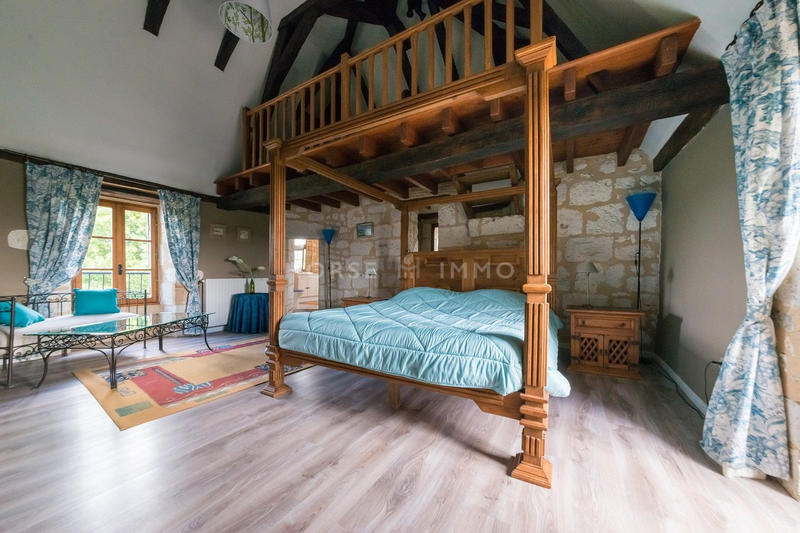 Château - 340 m² - 13 pièces