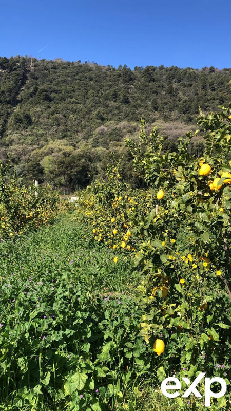 Fonds de commerce - Local commercial - 10 000 m²