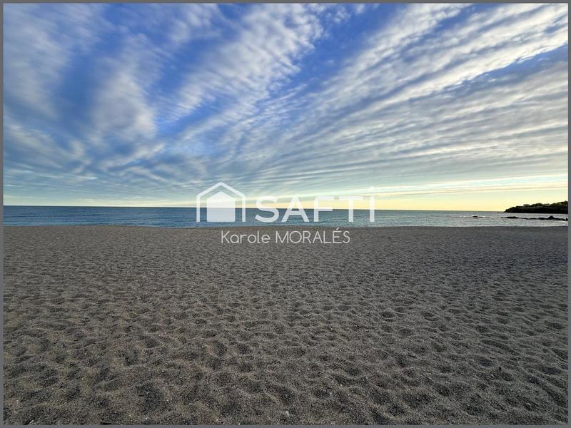 Appartement - 36 m² - 2 pièces