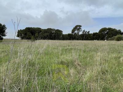 Terrain agricole - 4 800 m²