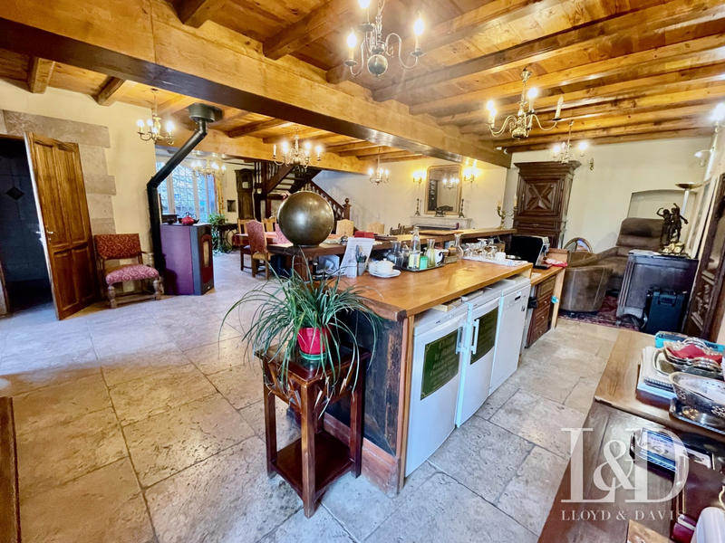 Château - 1 560 m² - 20 pièces