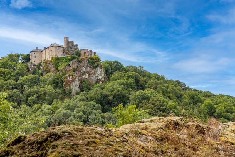 Corps de ferme - 496 m² - 20 pièces