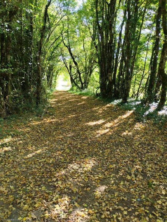 Maison de campagne - 98 m² - 3 pièces