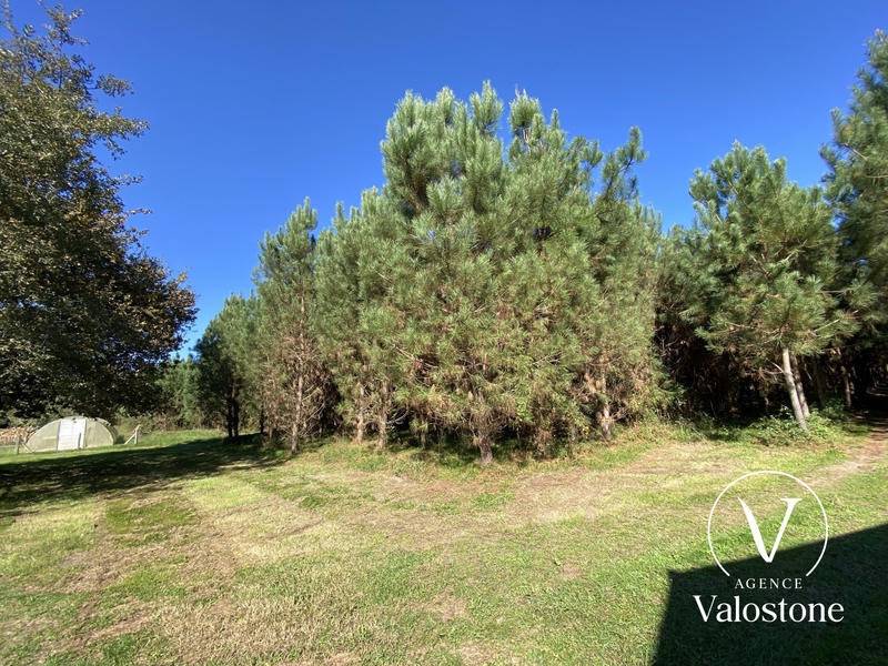 Maison - 246 m² - 6 pièces