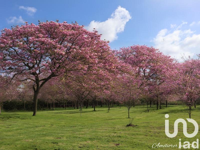 Maison - 170 m² - 6 pièces