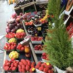 Les halles saint Dominique