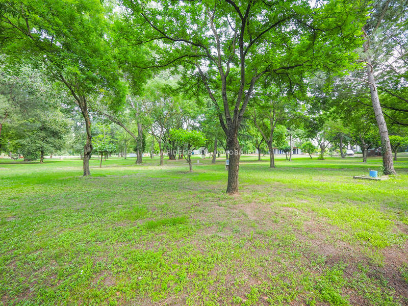 Local commercial - 10 000 m² - 10 pièces