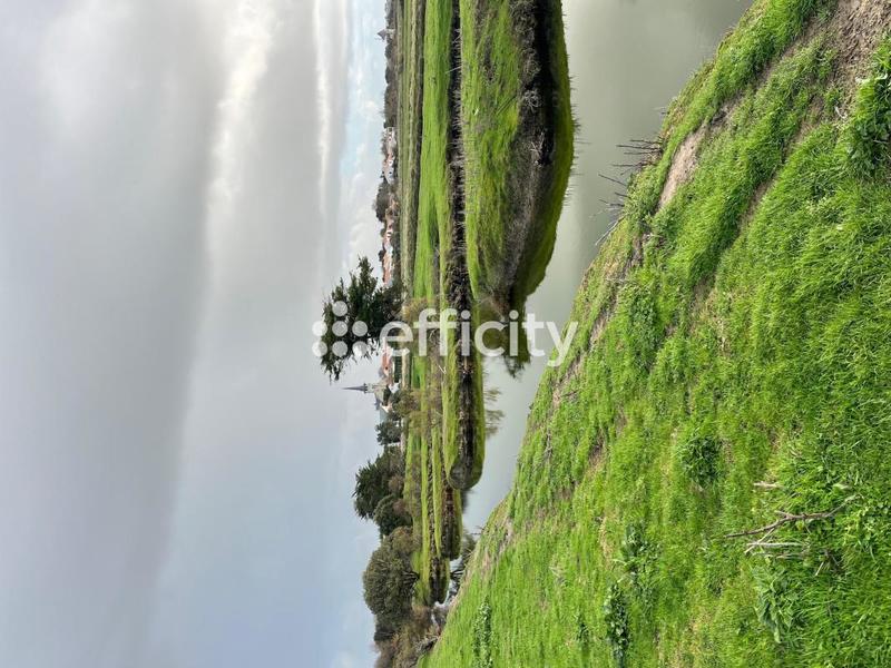 Terrain - 11 140 m²