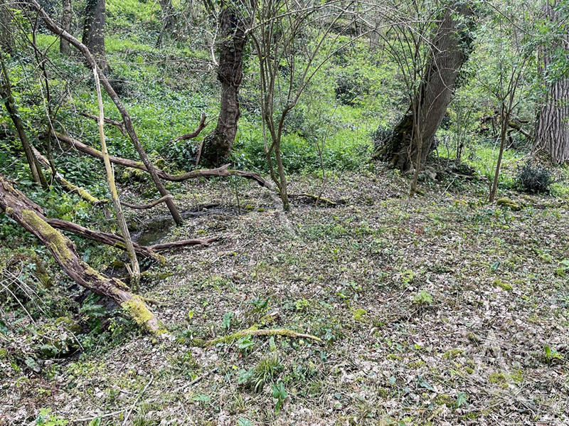 Maison - 102 m² - 4 pièces