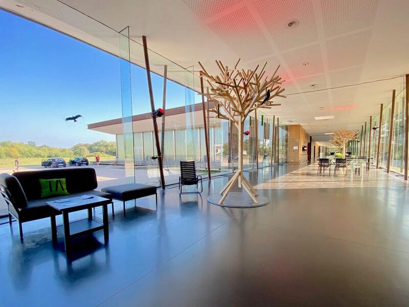 Spectacle : ateliers théâtre et improvisation