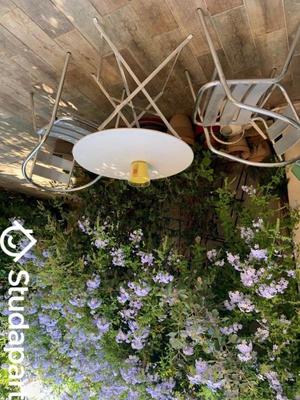 Appartement - 35 m² - 1 pièce