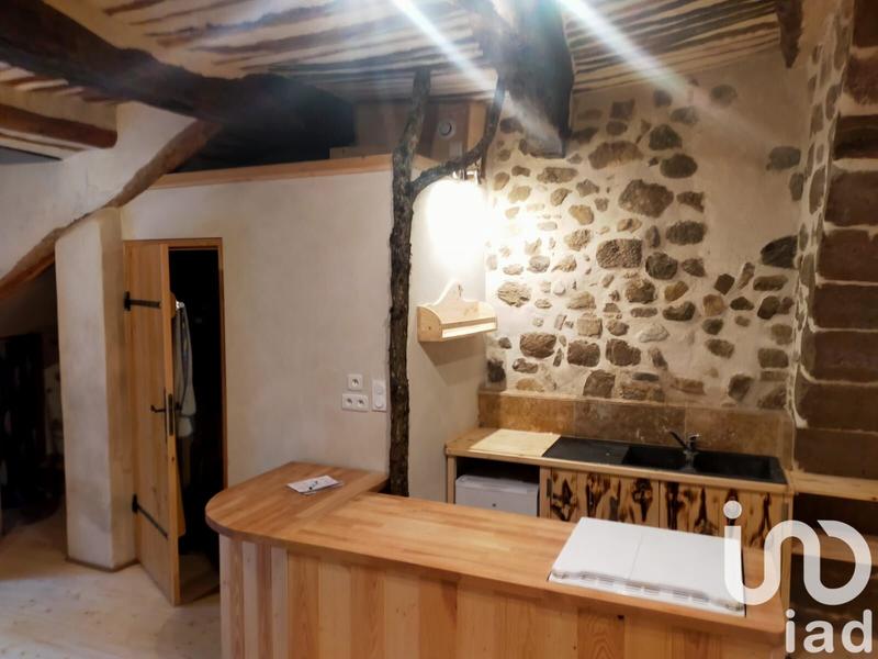 Loft - 50 m² - 1 pièce