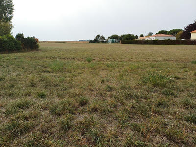 Terrain - 1 900 m²