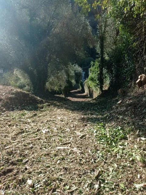 Terrain constructible - 2 000 m²