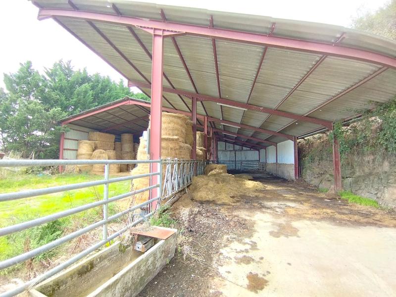 Corps de ferme - 240 m² - 8 pièces
