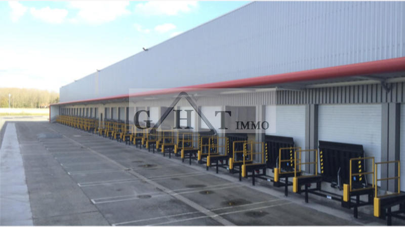 Entrepôt - 6 206 m²