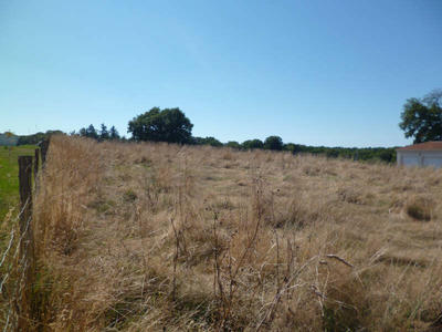 Terrain - 1 607 m²
