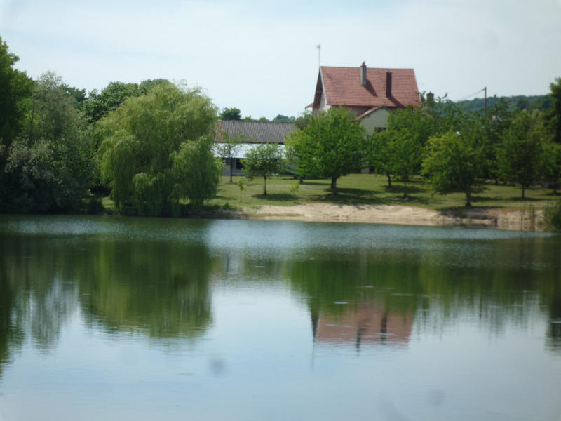 Propriété - 360 m² - 14 pièces