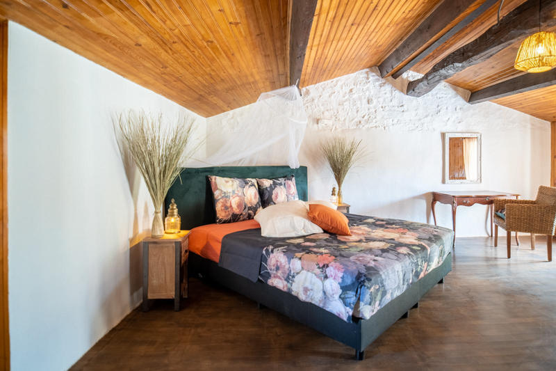 Moulin - 250 m² - 9 pièces