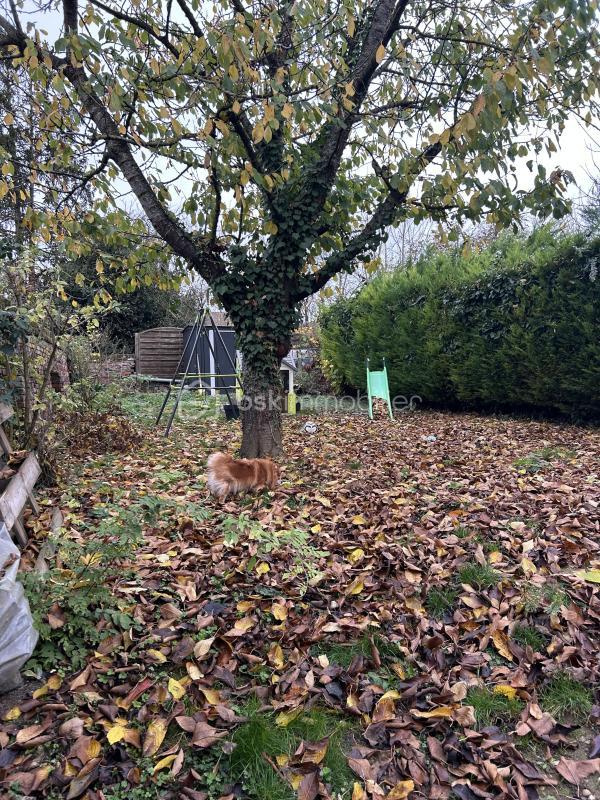 Maison ancienne - 75 m² - 3 pièces