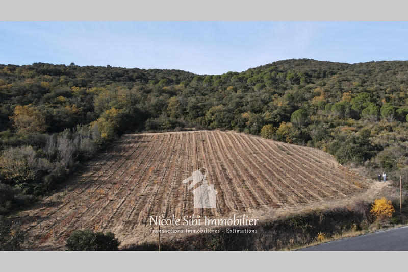 Terrain agricole - 7 897 m²