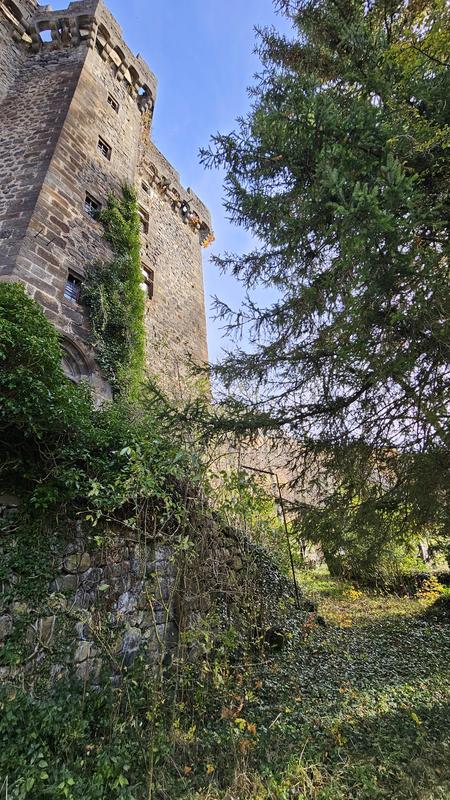 Château - 300 m² - 10 pièces