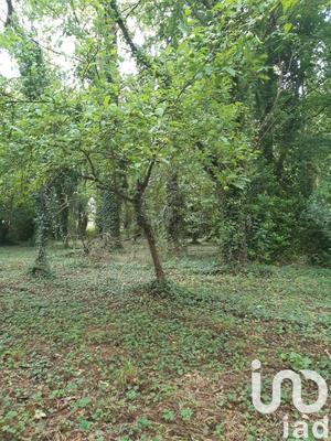 Maison - 96 m² - 5 pièces