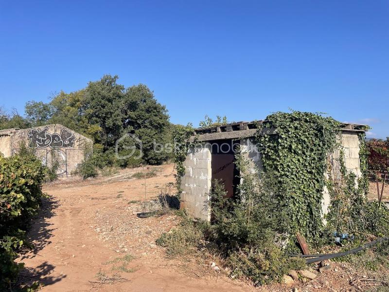 Terrain agricole - 45 000 m²