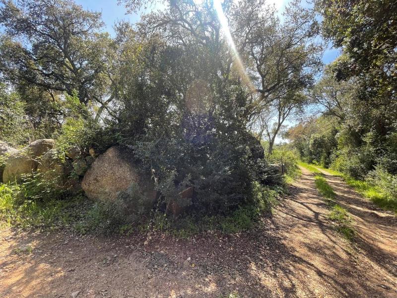 Terrain constructible - 12 588 m²