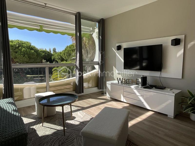 Studio - 24 m² - 1 pièce