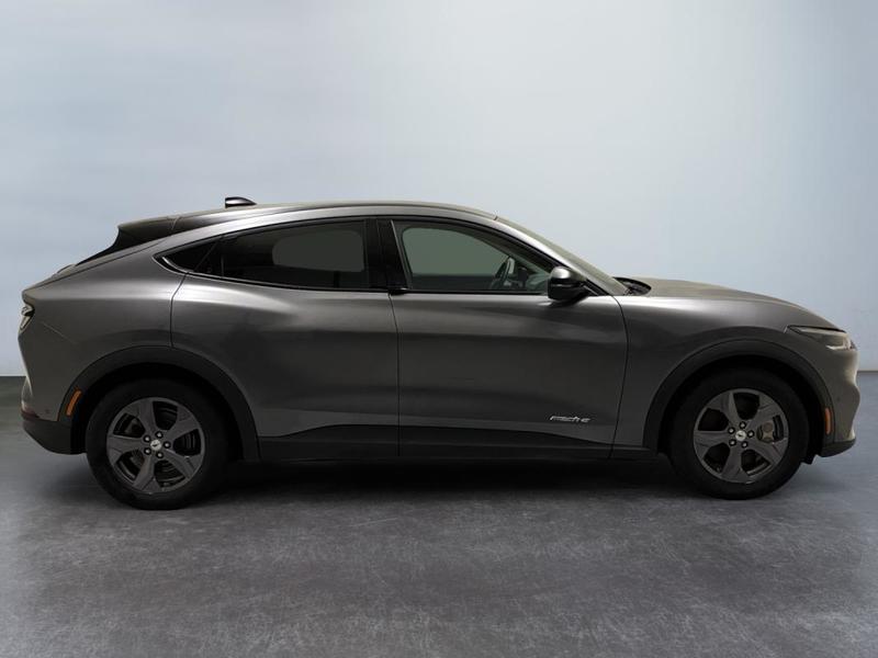 Ford Mustang Mach-E Standard Range 76 kWh 269 ch