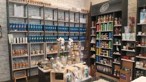 Une Histoire de Famille