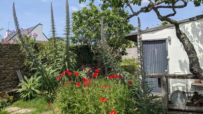 Maison contemporaine - 99 m² - 4 pièces