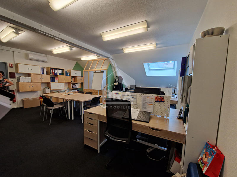 Local d'activité / Entrepôt - 513 m²