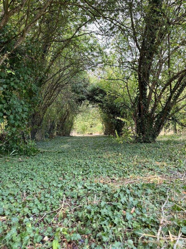 Ferme - 380 m² - 2 pièces