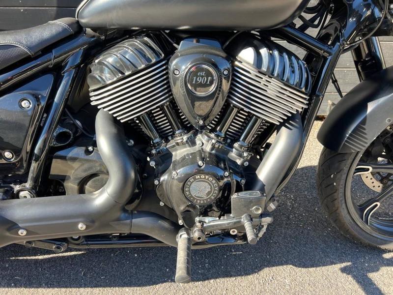 Indian Chief Dark Horse