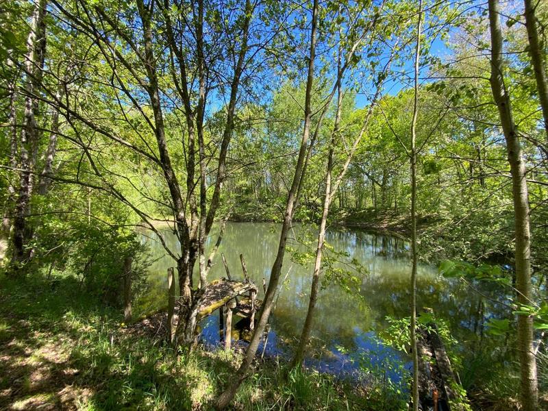 Maison - 260 m² - 9 pièces