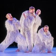 Philippe Lafeuille - A4 Comme la Feuille