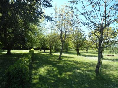 Maison traditionnelle - 271 m² - 12 pièces