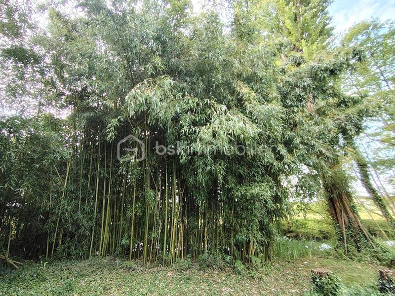 Maison de bourg - 61 m² - 3 pièces