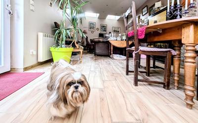 Maison en pierre - 140 m² - 6 pièces