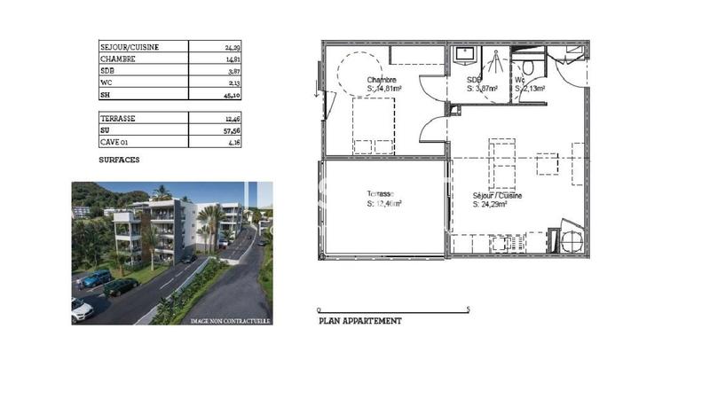 Appartement - 45 m² - 2 pièces