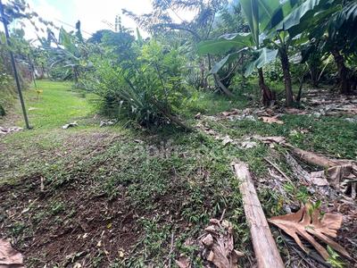 Maison - 36 m² - 2 pièces