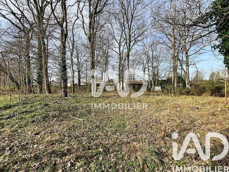 Maison - 35 m² - 2 pièces